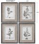 Uttermost® 4-Piece Casual Gray Study Framed Prints Set-2