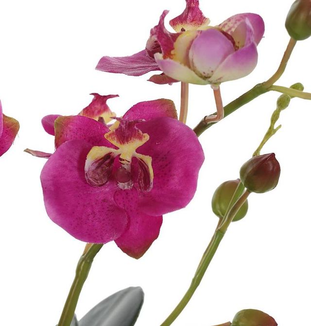 Uttermost® Glory Orchid Fuchsia Artificial Foliage-3