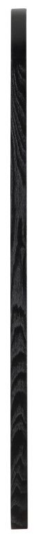 Meridian Furniture Siena Black Mirror-1