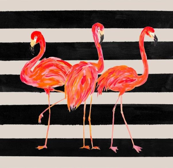 Classy Art Fondly Flamingo Trio Square on Stripe by Julie DeRice Wall Art-0