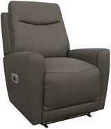 Dove Gray