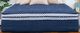 WinkBeds® Blue Series 2 Wrapped Coil 17" Luxury Firm Double Box Top California King Mattress-0