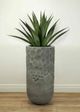 Le Present Agave Green Faux Botanical-5