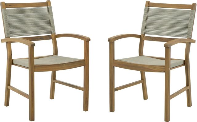 Signature Design by Ashley® Janiyah Light Brown Set of 2 Outdoor Dining Arm Chair-0
