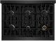 ZLINE Select 36" Black Stainless Steel Pro Style Gas Range-4
