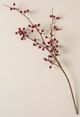 Magnolia Home by Joanna Gaines Red Berry Pick-0
