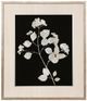 StyleCraft Nature White on Black IV Wall Art-0