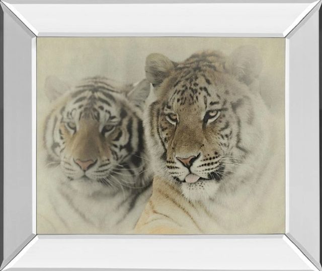 Classy Art Mystic Realm by Wink Gaines Mirrored Frame Wall Art-0