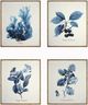 Classy Living 4-piece Indigo Botanical Quartet Frame Print-0