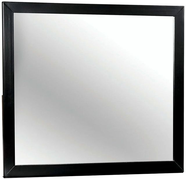 Furniture of America® Lennart Black Dresser Mirror-0