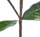 A & B Home Green Magnolia Stem-3