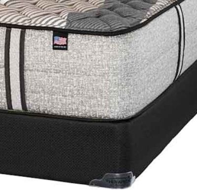 Therapedic® Blackbird Hybrid Plush Tight Top Queen Mattress-1