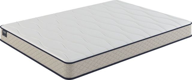 Sherwood® Bedding Essentials® Charming 6.5" Foam Firm Tight Top Queen Mattress