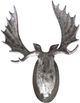 Moe's Home Collection Moosehead Wall Décor-0