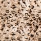 Surya Lewa 50"x60" Throw Blanket-3