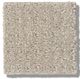 Shaw® Floors Simply The Best Translate Oatmeal Carpet-0