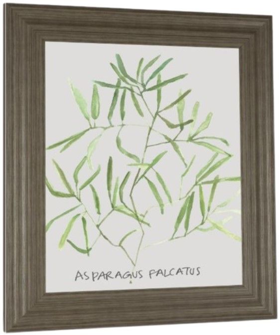 Classy Living Katrien Soeffers Asparogus Falcatus 22" Wall Art-3