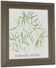 Classy Living Katrien Soeffers Asparogus Falcatus 22" Wall Art-3