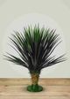 Le Present Yucca Green 31" Faux Botanical Rostrata-4