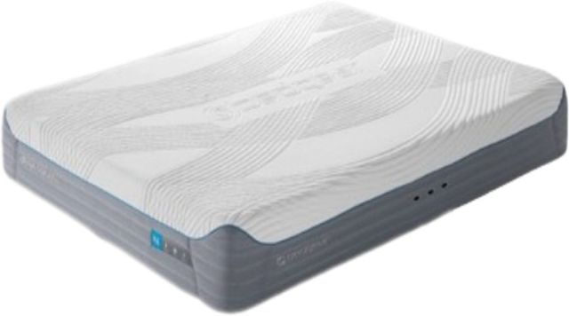 BEDGEAR® H6 Performance® Hybrid Medium Plush Tight Top Split Head King Mattress in a Box-0