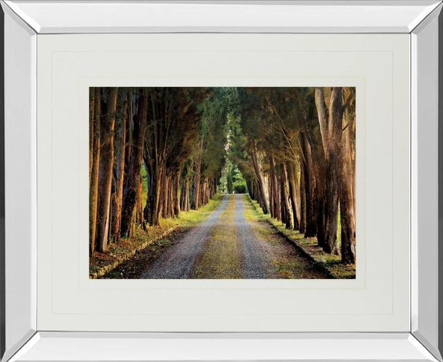 Classy Art Tree Tunnel by Michael Tunnel Mirror Framed Wall Art-0