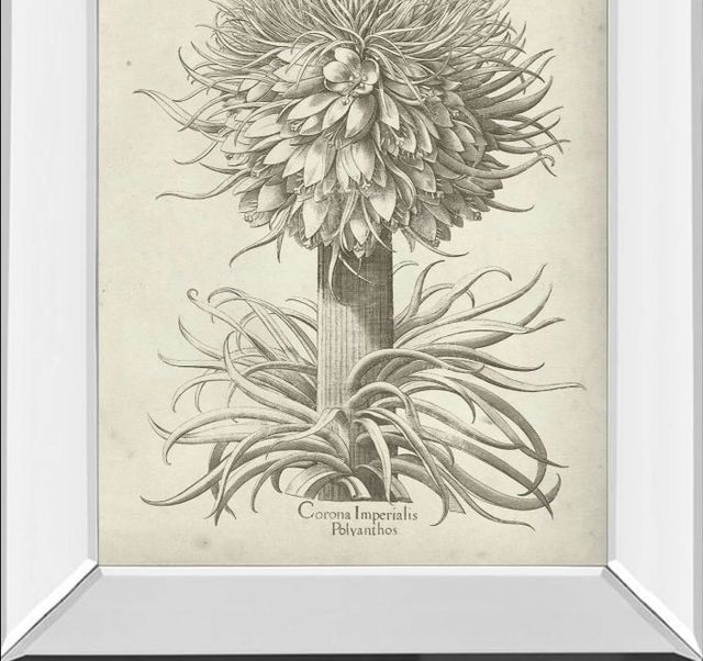 Classy Art Fresco Crown Imperial I by Vision Studio Mirror Framed Wall Art-1