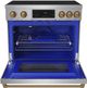 Thor Kitchen® Gordon Ramsay Collection 36" Stainless Steel Pro Style Induction Range with Tilt Panel Touch Control and Bronze Trim-1