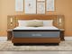 Nealden Plush Split Head Queen Mattress-3