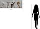 Classy Living Contemplative Llama Squad with Quirky Bangs Wall Art-2