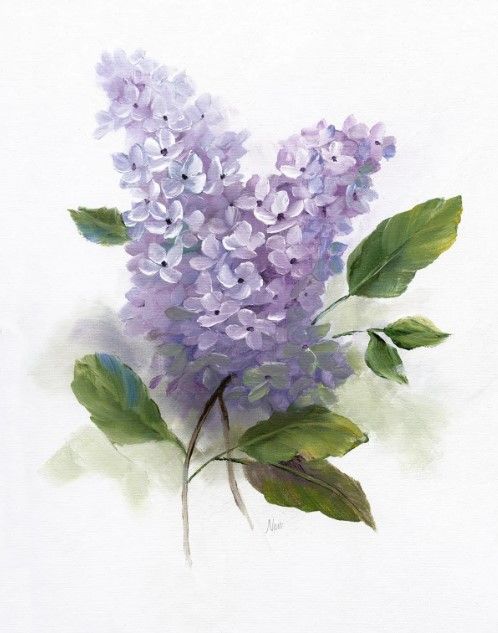 Classy Art Lilac Romance II by Nan Wall Art-0