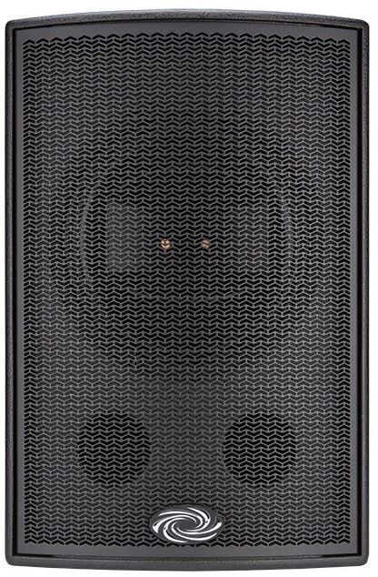 Crestron® Vector™ 12" 2-Way Performance Loudspeaker