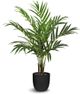 Le Present Green 59" Faux Botanical Palm Tree-0