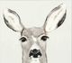 Stylecraft Oh My Dear Gray/Black Wall Art-1