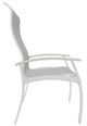 Telescope Casual Belle Isle Abalone/White Aluminum/Fabric Outdoor Sling Supreme Arm Chair with Laguna Rustic Polymer Arm Accent-2