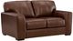 Signature Design by Ashley® Brogliano Canyon Loveseat-0