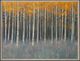 StyleCraft Forest Dusk Dark Gray/Gray/Orange Wall Art-1