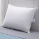 Concept ZZZ White Queen Prime Feather Fiber Pillow-1