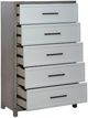 Liberty Furniture Palmetto Heights Two-Tone Shell White/Driftwood Chest-2