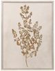 StyleCraft Pressed Branch l Wall Art-0