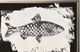 Stylecraft Fish I Wall Art-1