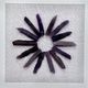 A & B Home Grace 2-Piece Purple/White Shadow Boxes Wall Art Set-2