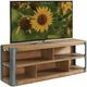 Riverside Furniture Zenith Gilt Truffle/Ginger Entertainment Console-4