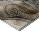 Dalyn™ Rug Company Odyssey Beige 8'x10' Style 2 Area Rug-3
