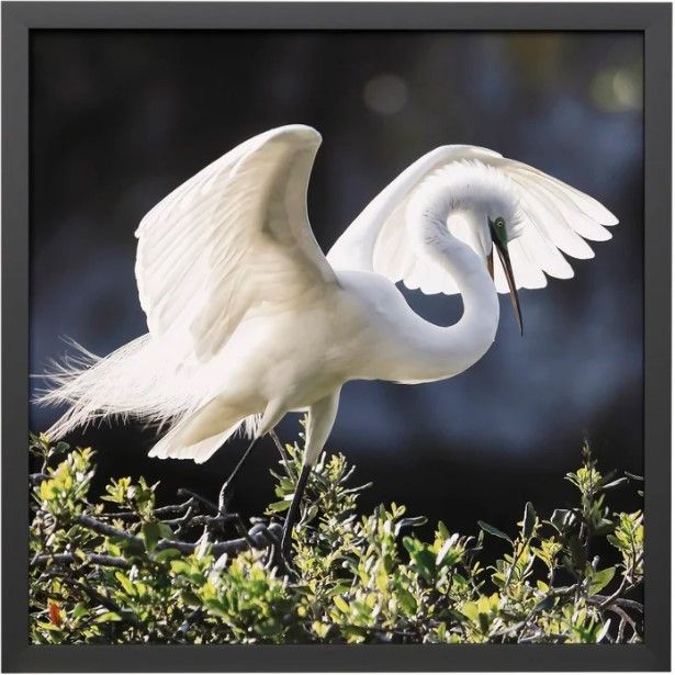 Stylecraft Backlit Grace Framed Print-0