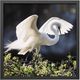 Stylecraft Backlit Grace Framed Print-0