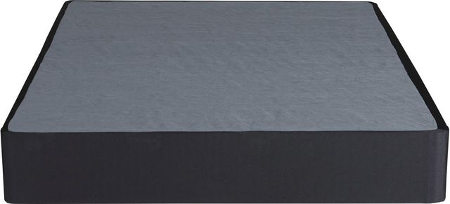 Sierra Sleep® By Ashley® Black Twin Standard Foundation-1