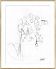 Magnolia Home by Joanna Gaines Orchid Drawing II Wall Art-0