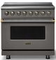 Viking® 5 Series 36" Damascus Gray Pro Style Induction Range with Brushed Brass Trim-0