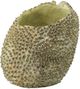 A & B Home Light Green Planter-1