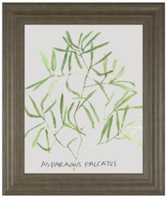 Classy Living Katrien Soeffers Asparogus Falcatus 22" Wall Art-0